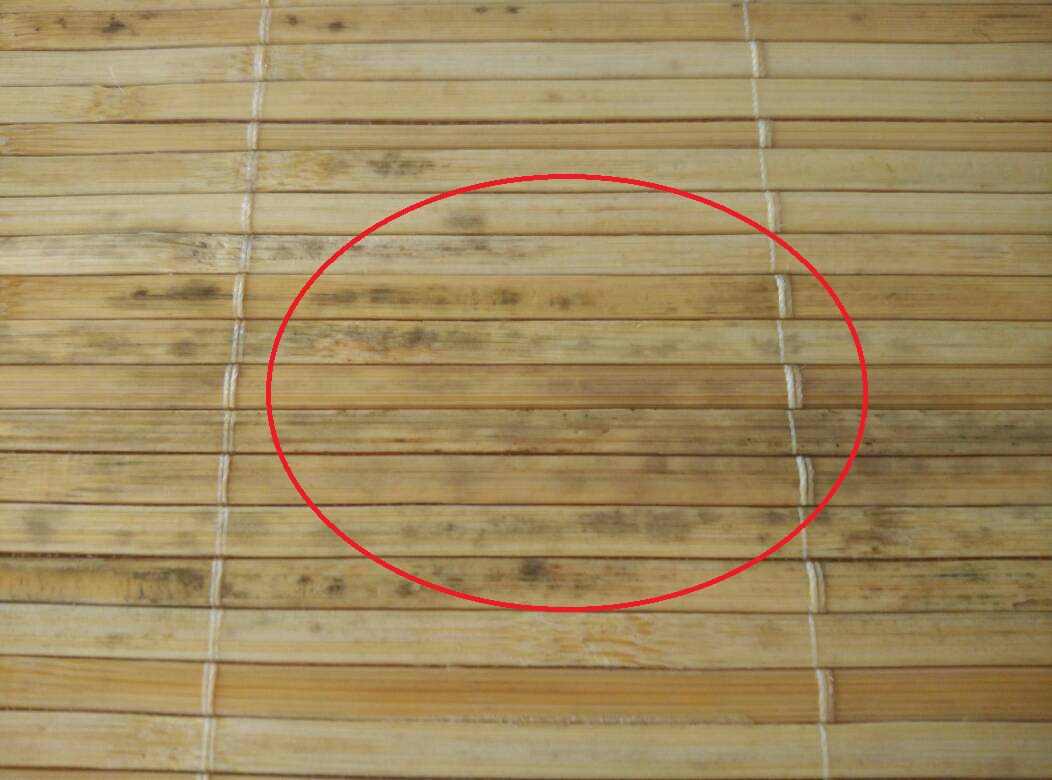 凉席没晾干发霉了怎么办,发霉的宝宝凉席清洗小妙招