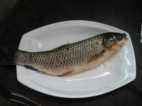 饭店里的孔雀开屏鱼都是怎么做的,开屏孔雀鱼家常做法