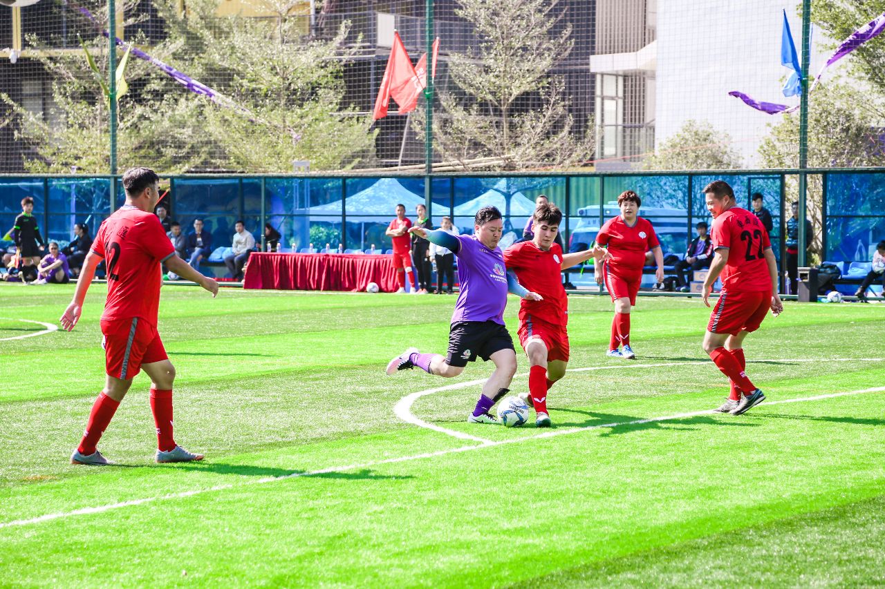 深化交流互动共促发展,深化交流合作促进融合发展