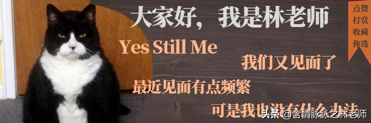 华为matebookx和thinkpad13x,thinkpad粉