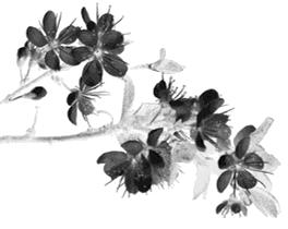 民法典规定多大年龄是有刑事责任,民法典颁布后法律年龄对照表