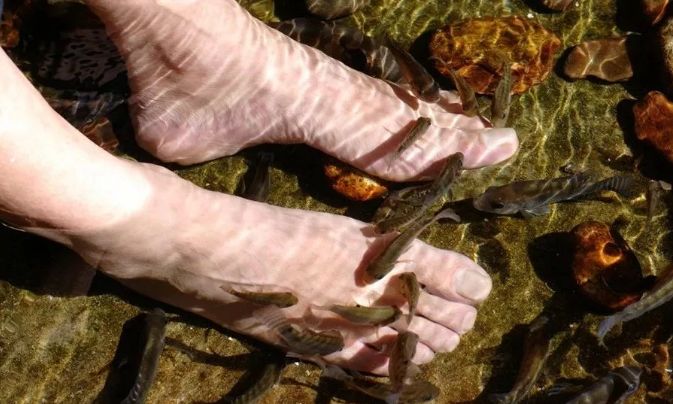 甘孜5日旅游攻略最新,四川旅游团去甘孜旅游攻略