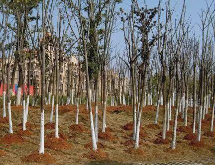 巨额债务惹的祸,巨额债务真的躲得掉吗