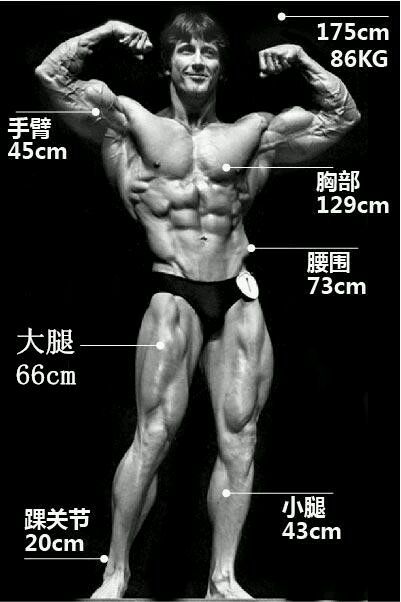 健美史上第一人阿诺施瓦辛格,健美冠军施瓦辛格