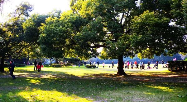 推荐上海地铁能乘到的游玩景点,上海地铁可直达的旅游景点