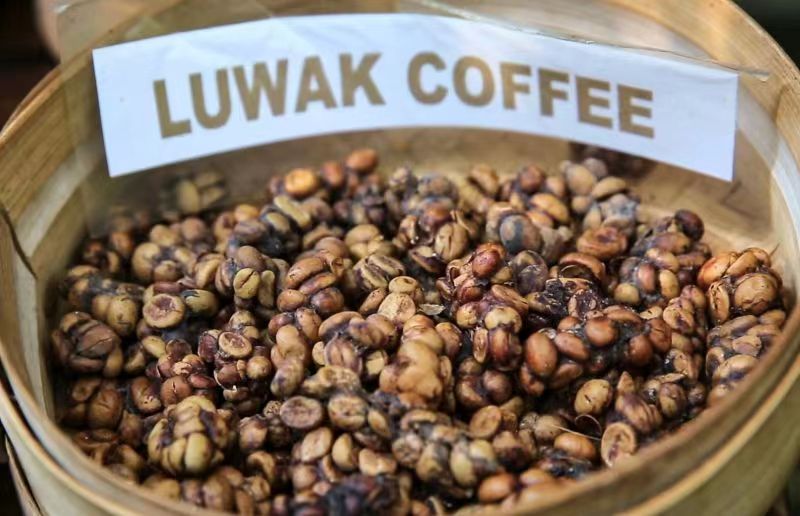 我为什么拒收朋友送的猫屎咖啡