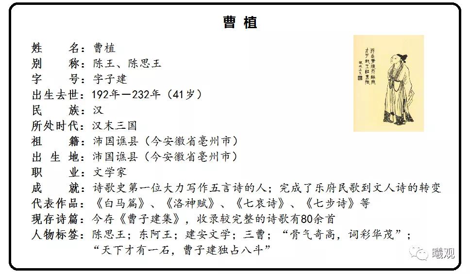 曹植才高八斗天下人平分一斗,曹植高八斗