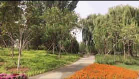 北京大型室内儿童游乐场,北京露天游乐场地设计