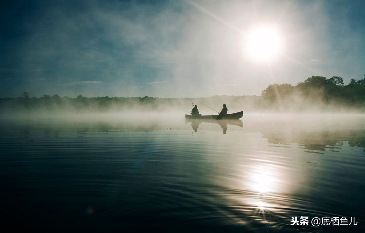 无需加热棒的大型鱼,不需加热棒又好看的鱼