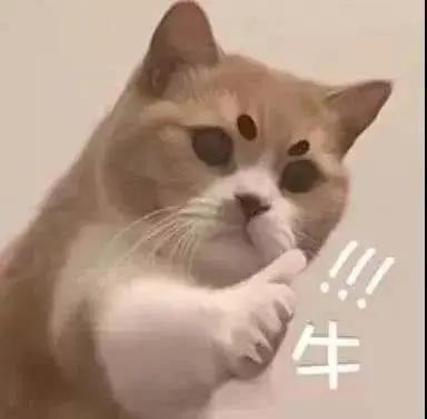 本科学历可以直接申请深圳居住证,在深圳没有社保可以办理居住证吗