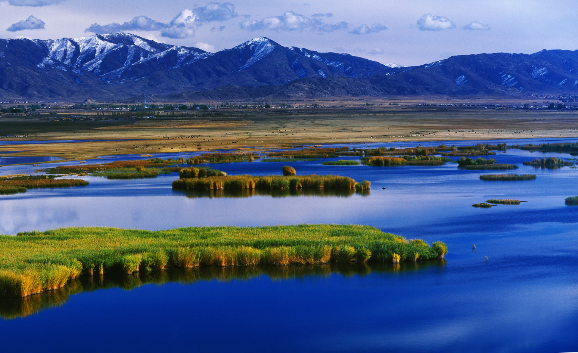 你的壁纸该换了4k超清,你的壁纸该换了图片