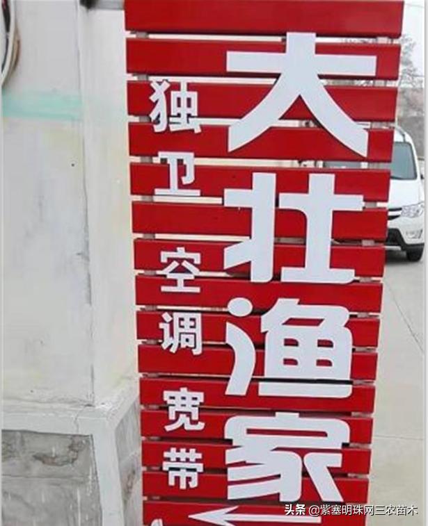 爱上一座城爱上一个人短视频,长岛大壮渔家民宿团购
