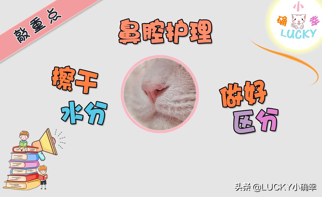 猫咪打喷嚏不用太紧张，可能只是喝水呛鼻子，怎么及时处理？