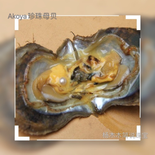 日本海水珍珠akoya等级,akoya珍珠日本官网