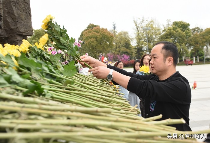 育英学校合肥,合肥市思政微课堂