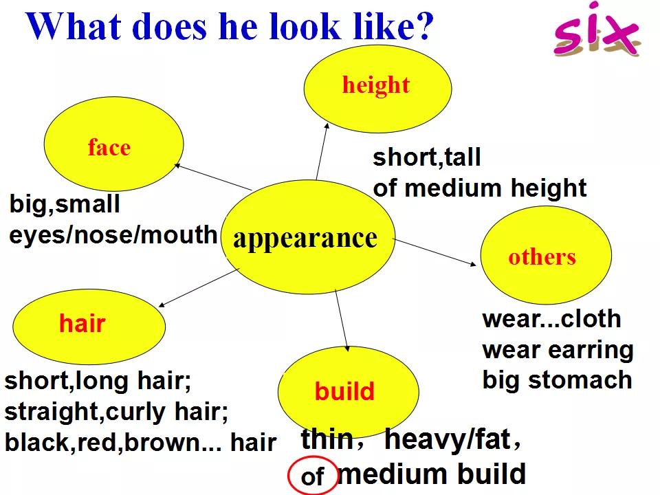 中考1600词汇速记方案,中考1600词汇详解细读默写版