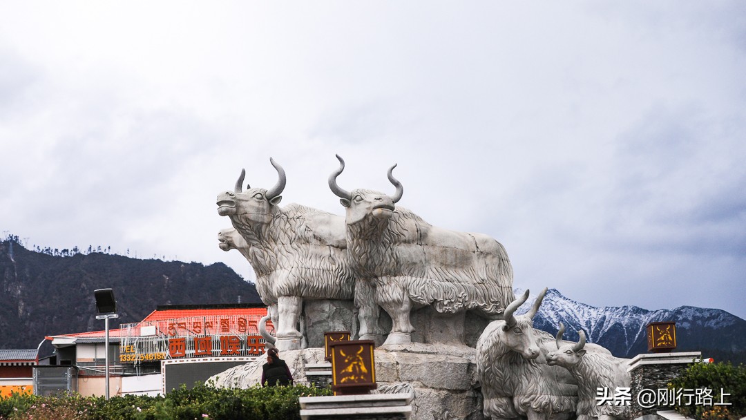 自驾西藏夏天林芝,西藏林芝自驾游攻略最新