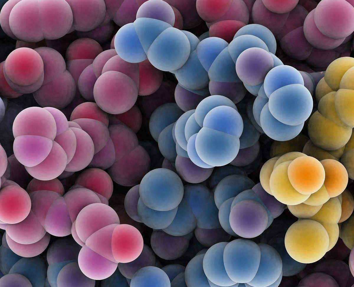 从无机到有机，生命的出现几乎是不可能的，生命到底从何而来？