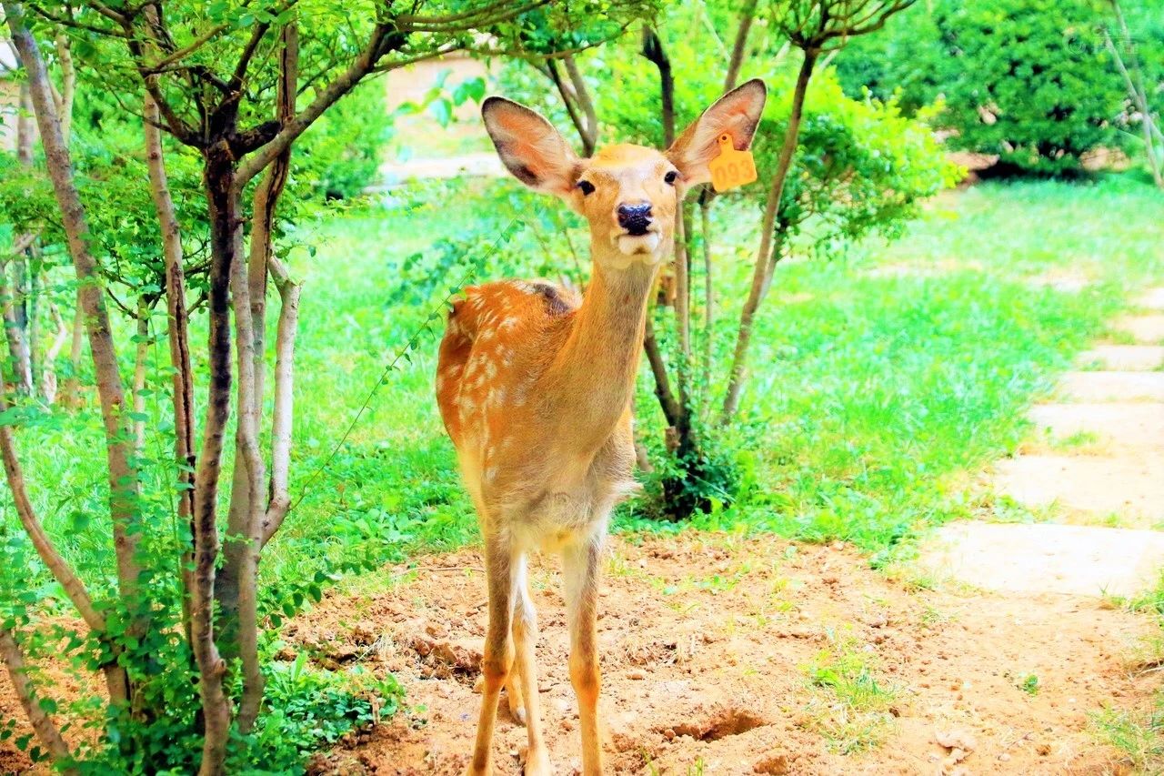 鎭掑ぇ鍏泭娲诲姩,鎭掑ぇ閰掑簵鍖绘姢棰勭害