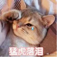 太平洋保险重疾险金佑人生分红型,太平洋的重疾险金佑人生