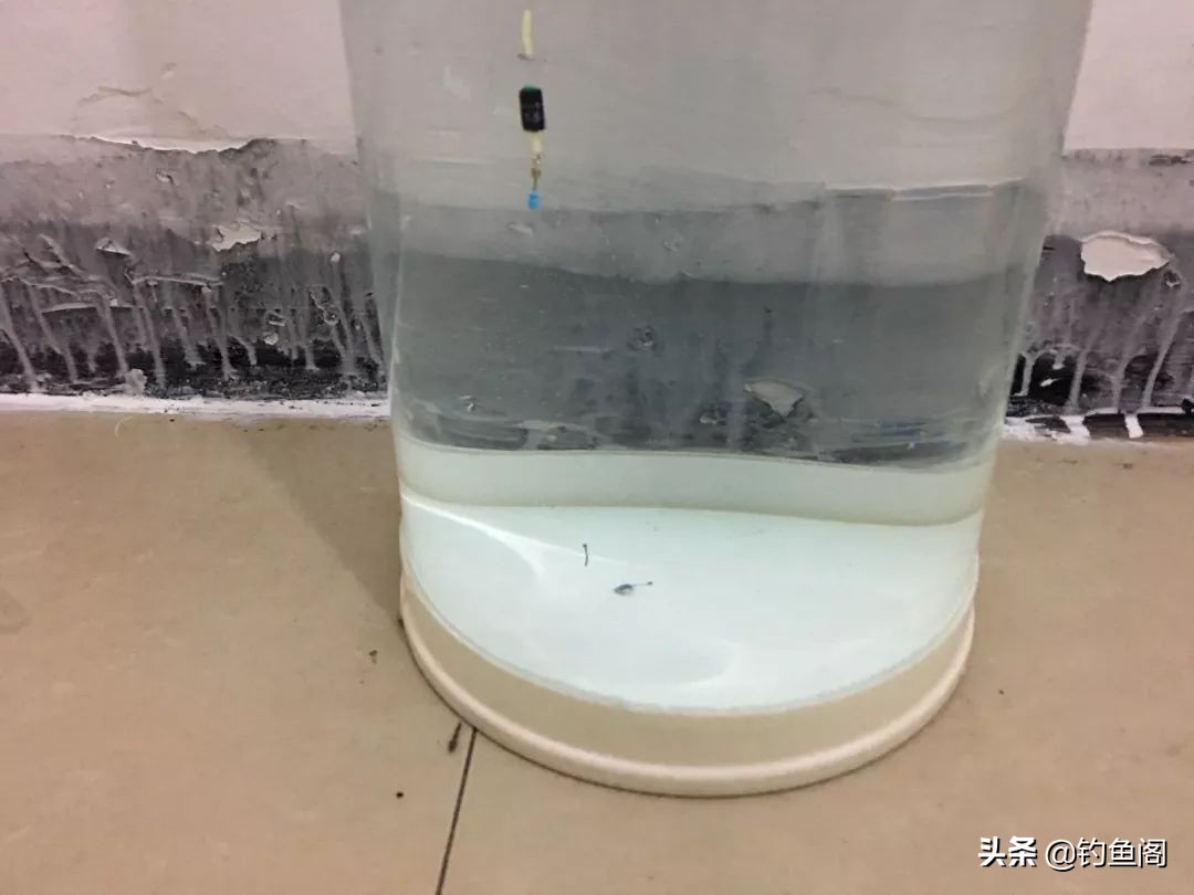 钓鲫鱼调五钓二好还是调四钓二好,带钩调漂的正确方法调四钓二图解