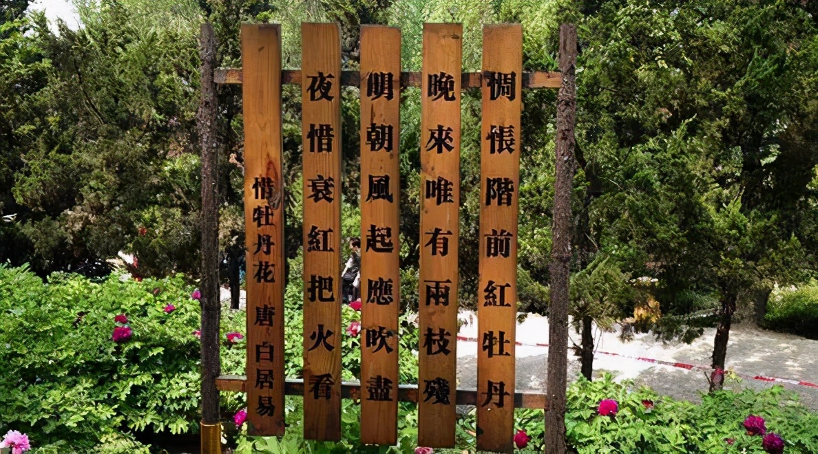 最美的乡村旅游攻略,五大最美乡村旅游攻略