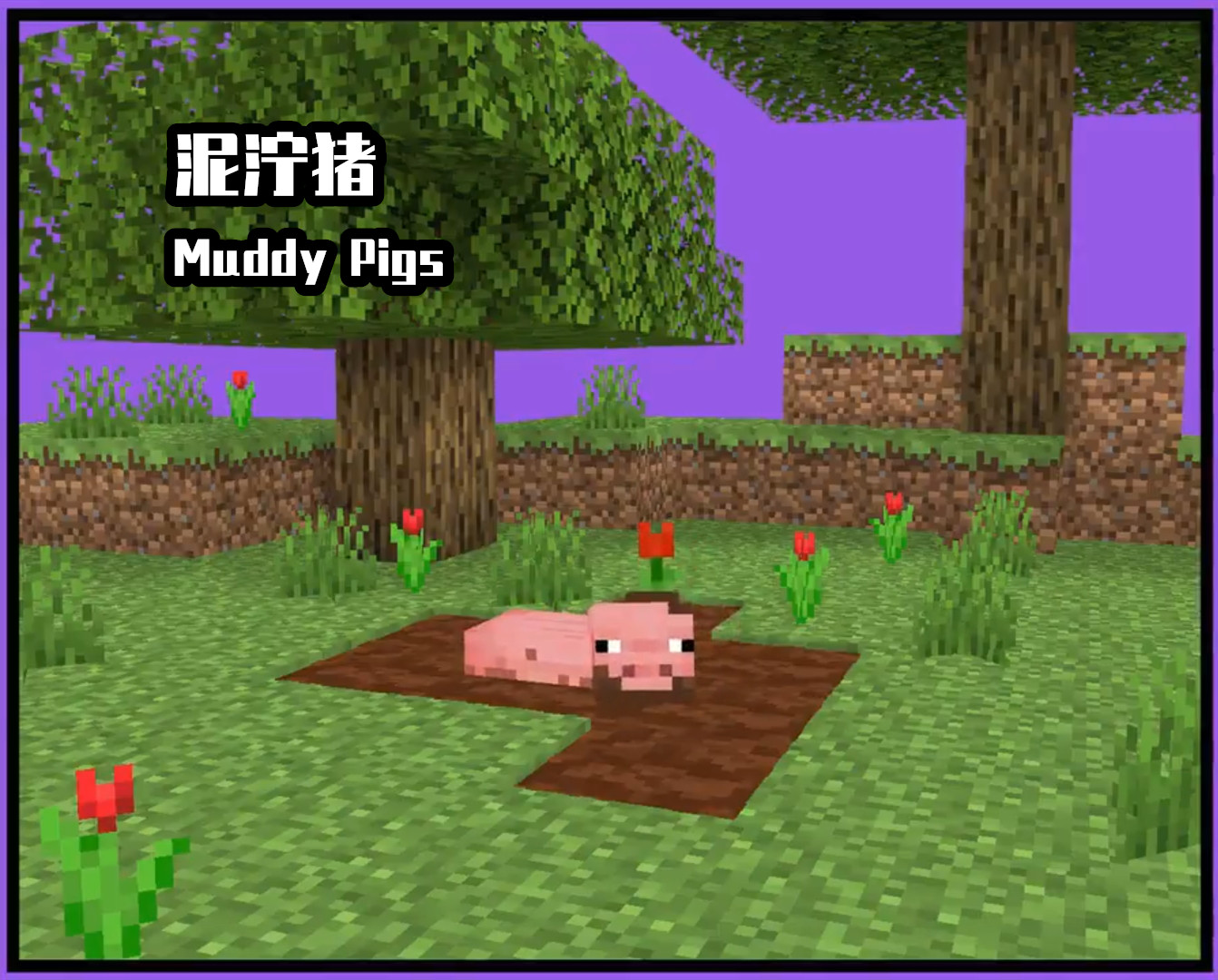 我的世界mc神秘大事件,我的世界怎么获得骷髅狼