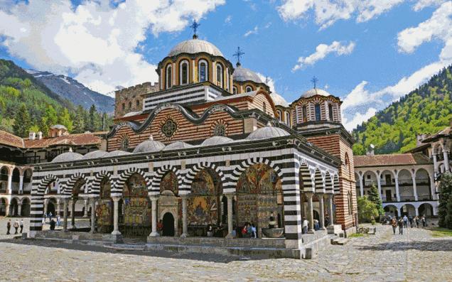 保加利亚经典玫瑰,保加利亚玫瑰什么样