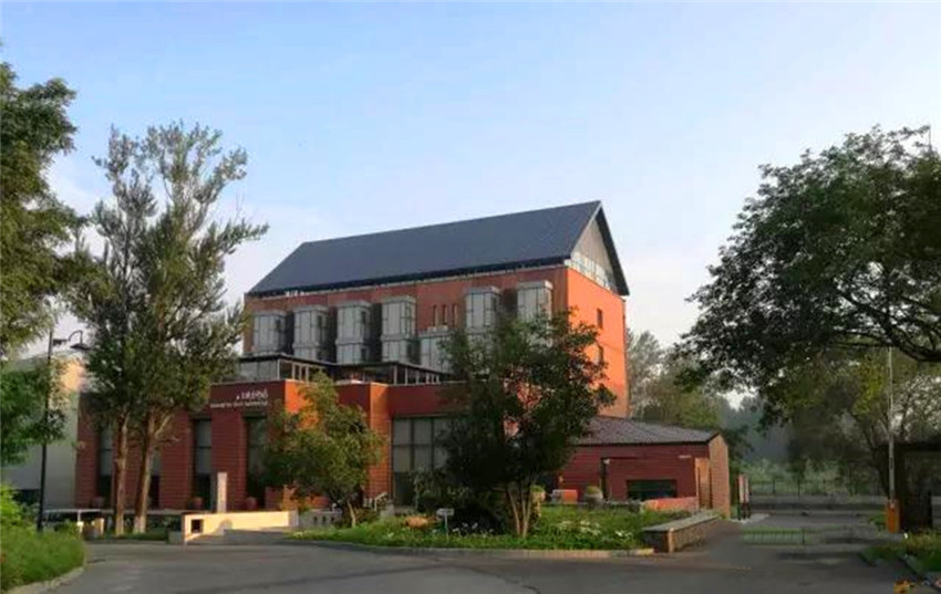 中央美术学院建筑设计师王铁,中央美术学院王铁教授