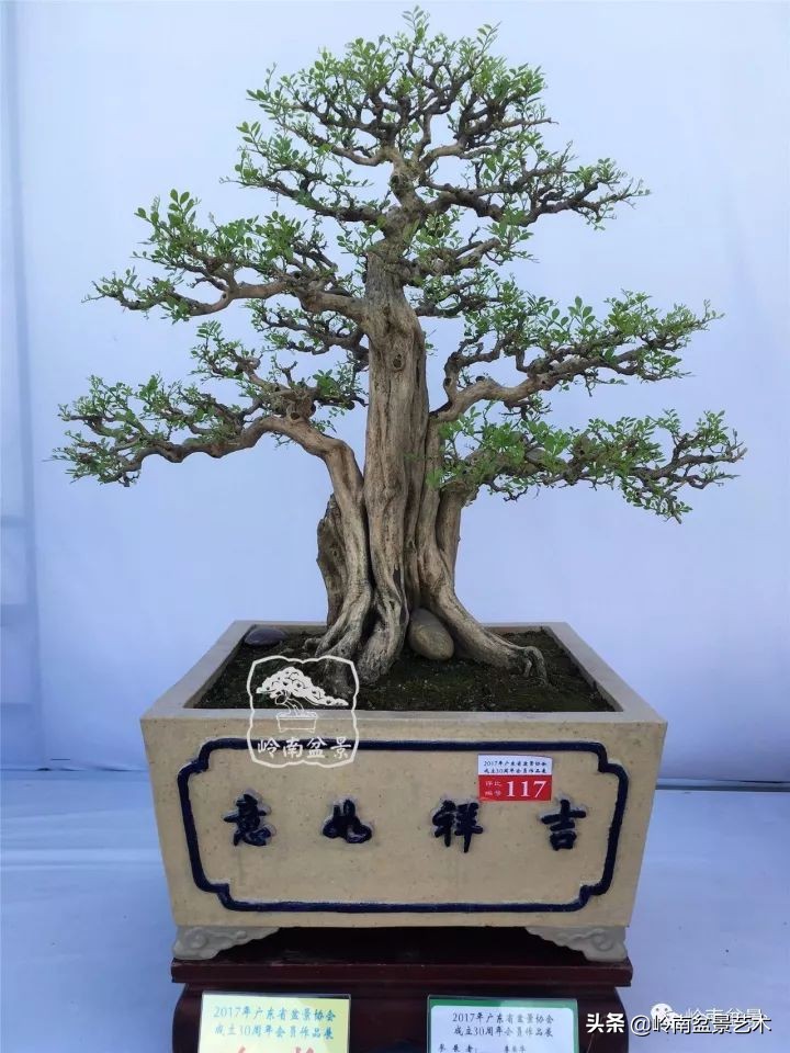 骞哥涔呬箙鐢滅敎铚滆湝,骞哥涔呬箙