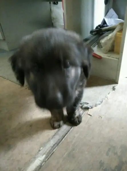 带你去赤道看海,赤道几内亚国家地图