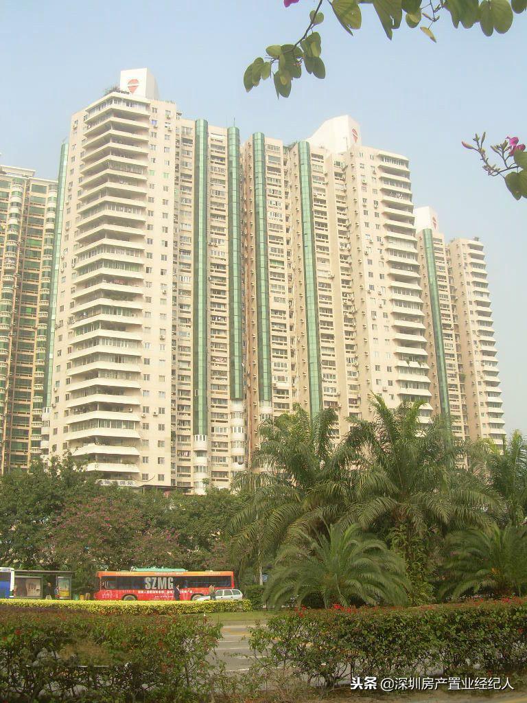 南山几大学位名校你该如何选择，学位刚需末班车时机来临