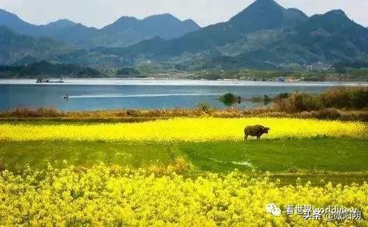 广西人丁最旺的地方,广西含硒最多的地方