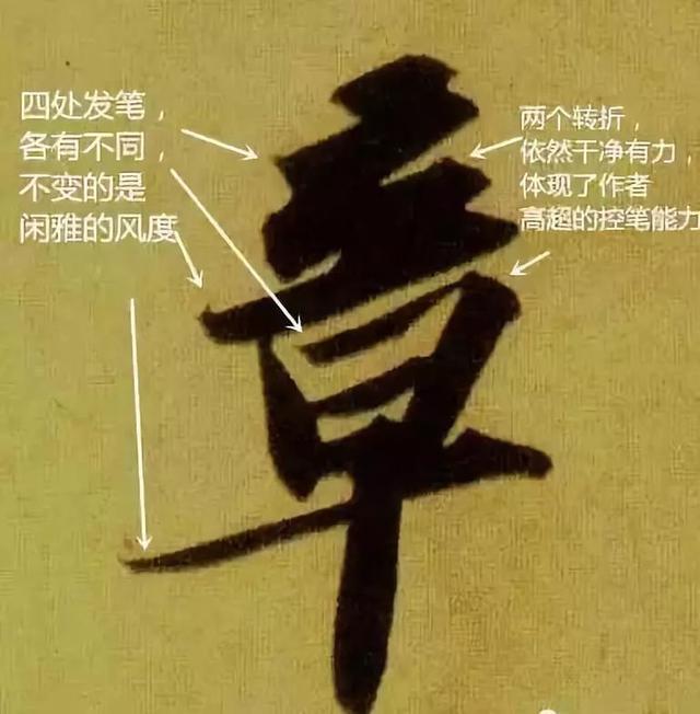 先把基础知识学好,先把基础练好再练技术动作