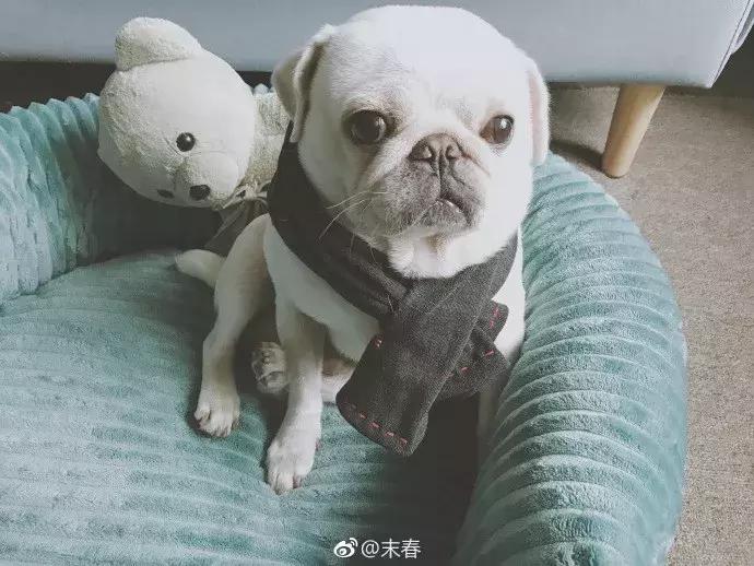 她笔下的女人韵味十足,他笔下的女子美得倾国倾城