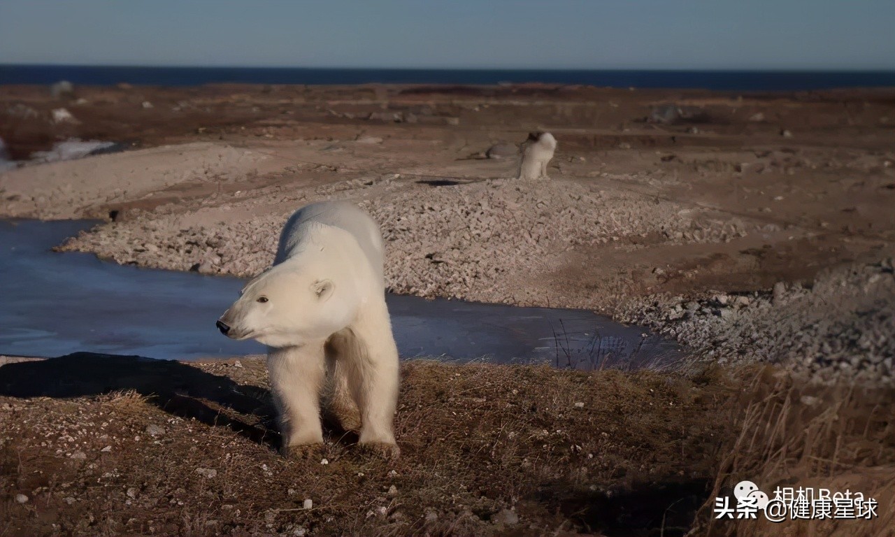 这一次不再沉默，为健康的地球发声，为未来负责