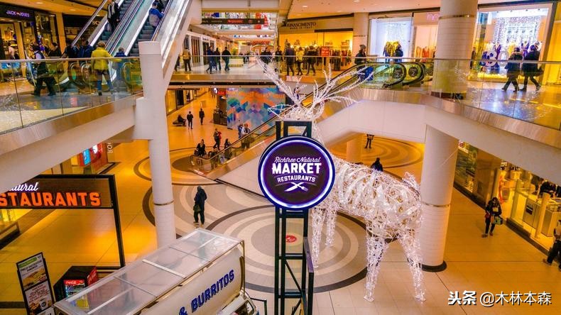 加拿大多伦多生活日记,加拿大多伦多留学生活纪实