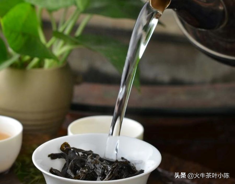 大红袍茶叶怎么泡才是正确的,大红袍茶叶介绍及冲泡方法图片