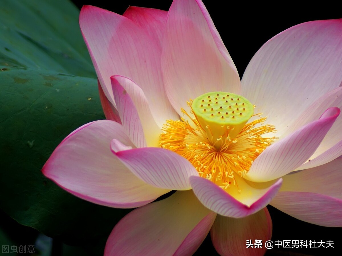 下焦寒湿前列腺异常怎样治疗最好,前列腺炎早泄下焦湿热中医治疗