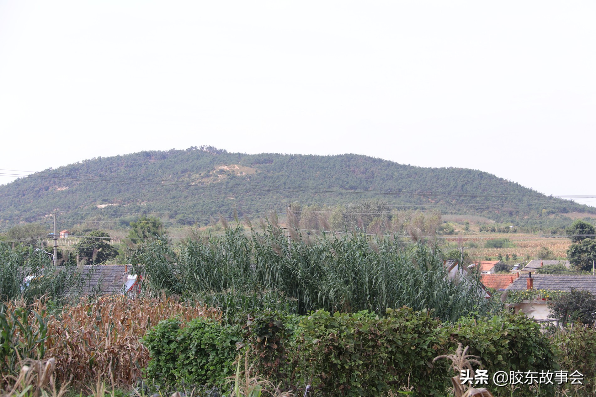 文登葛家有什么村,文登葛家镇简介