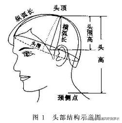 卫衣帽子纸样画法,帽子的设计方法教学