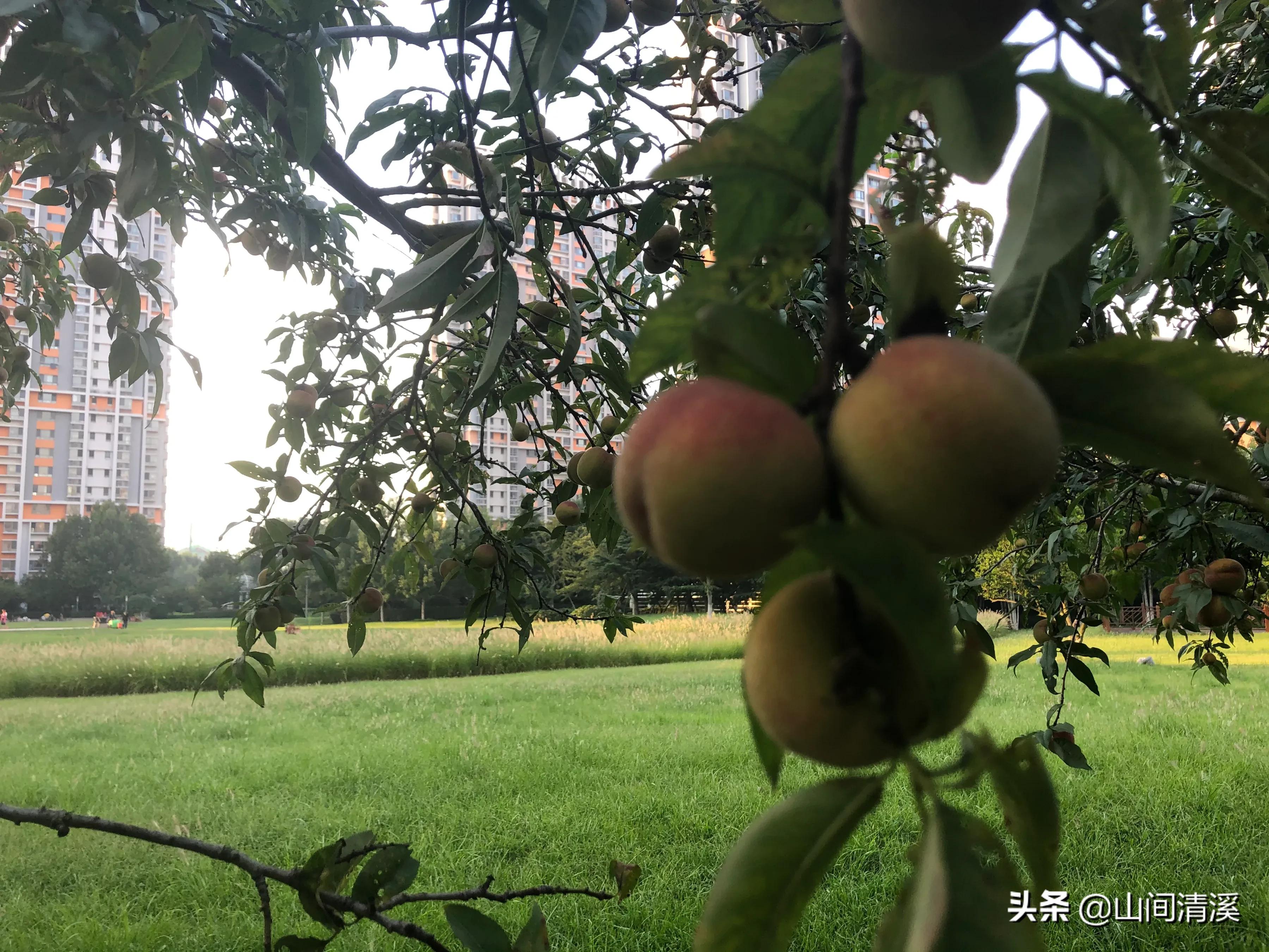 孩子们离家上学,孩子住校聚少离多的生活开始了