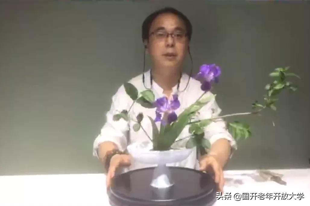 老年大学插花教程,创意插花课