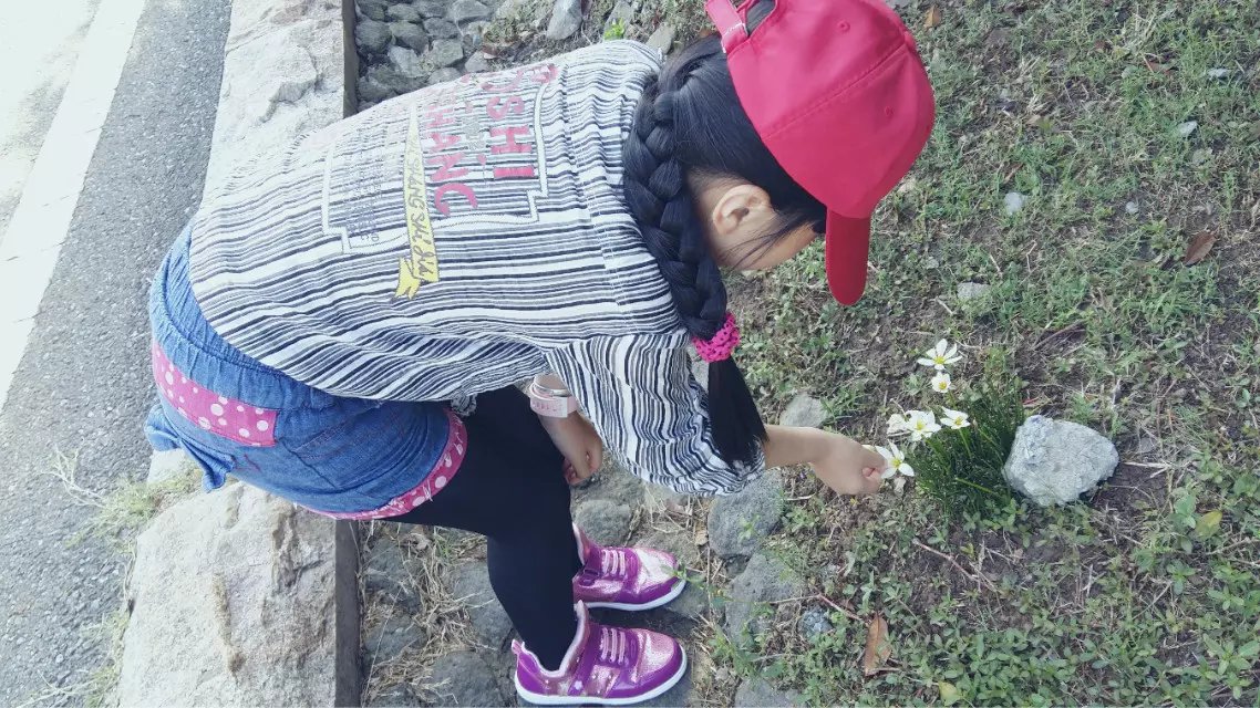 硬生生地在蚕虫壳中活了六年