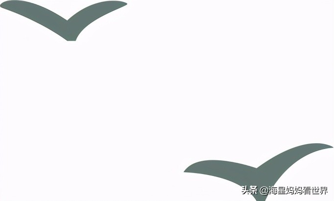 昆虫diy益智拼图,diy昆虫旅馆怎么做