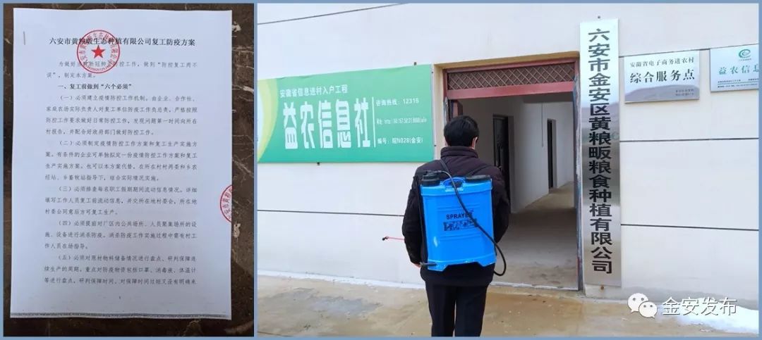 防疫春耕两不误，金安处处有期寄！