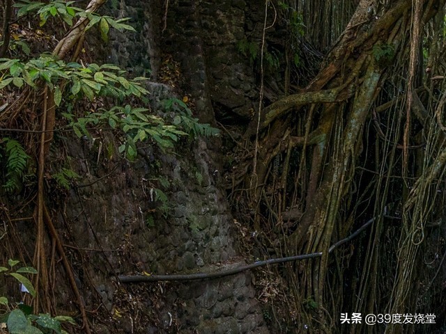 佳能rf15-35mmf2.8,佳能rf15-35f2.8镜头尺寸