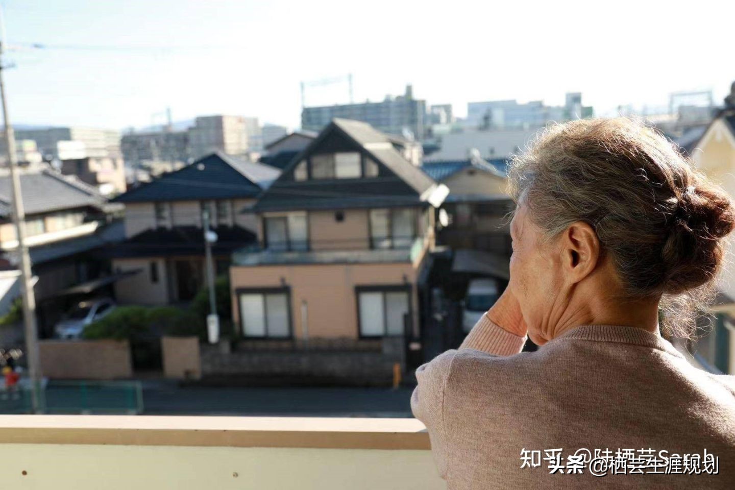 又见奈良深度解析,又见奈良