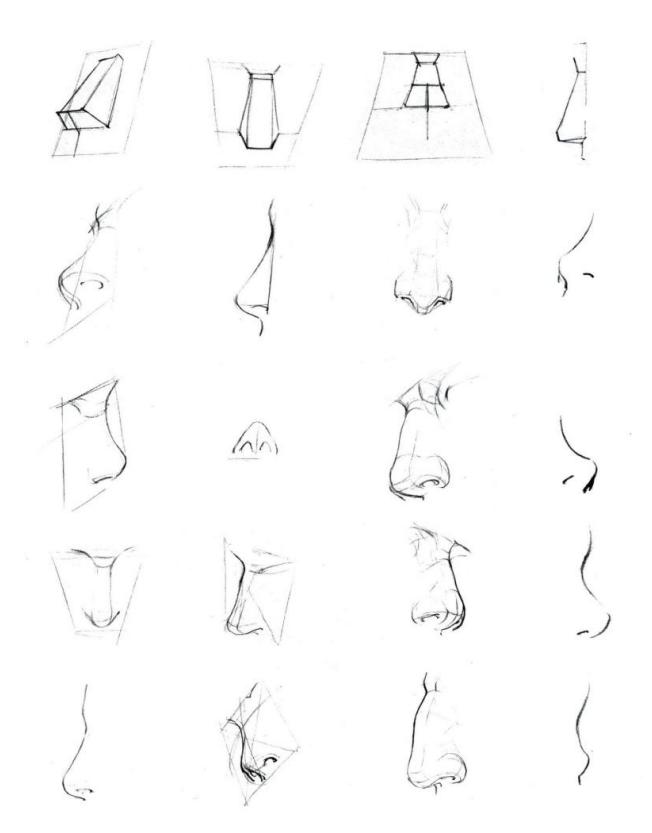 零基础人物脸的画法,人体五官细节该怎么画