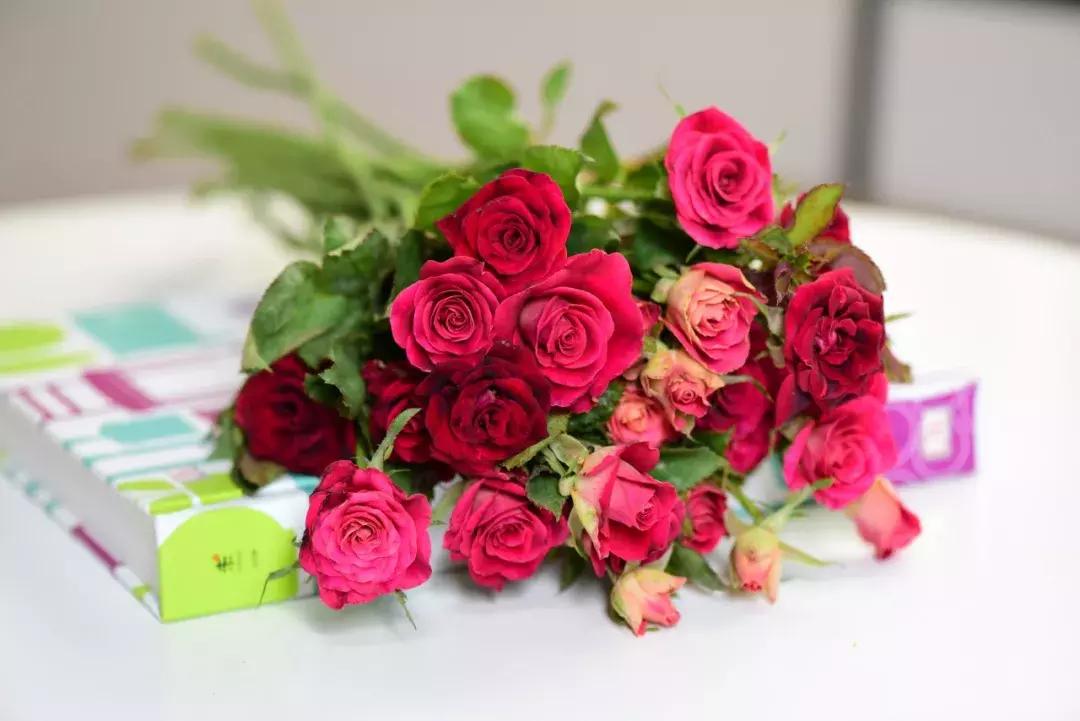 那些年你爱过的小说女配,那些年你爱过的老歌